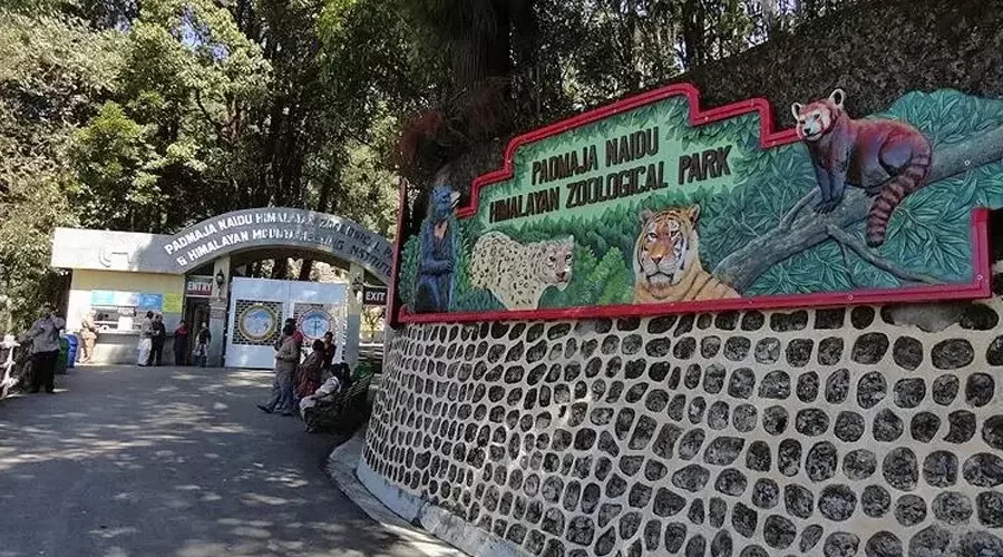 Darjeeling Sikkim Delight